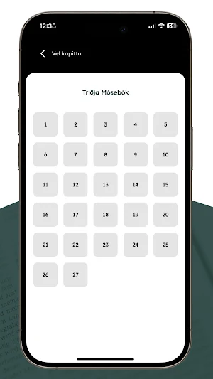 Bíblian Screenshot 3