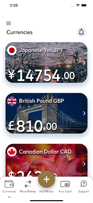 Ramsdens Multi Currency Card Screenshot 2