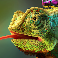 chameleon wallpaper