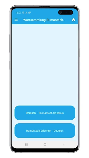 Wortsammlung Rumantsch Grischun 2 Screenshot 2