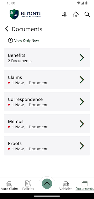 Bitonti Insurance Group Screenshot 2