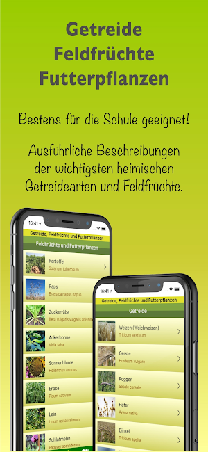 Getreide & Feldfrüchte Screenshot 3