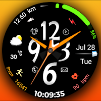 Hybrid FSW309 Watchface