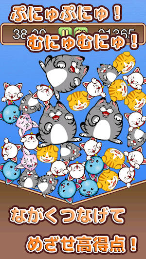 TUMU CAT Screenshot 2
