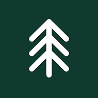Spruce