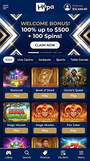 Hopa Screenshot 2