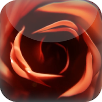 Sweet Rose Live Wallpaper