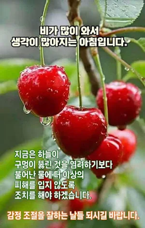 좋은 아침 이미지 Screenshot 2