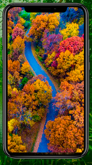 Nature Wallpapers 4K 🌳 ⛰️HD Backgrounds 🐯🐘 Screenshot 3