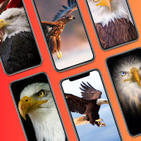 Imagenes De Aguilas HD