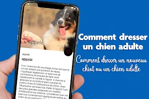 Comment dresser un chien adult Screenshot 1
