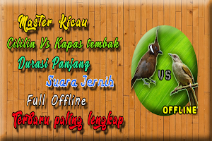 Cililin Dan Kapas Tembak MP3 Screenshot 2