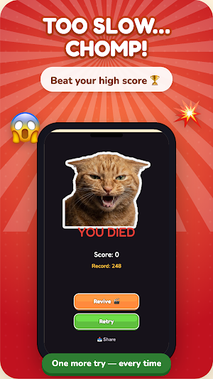 Brush The Cat: Cat Brush Game Screenshot 1