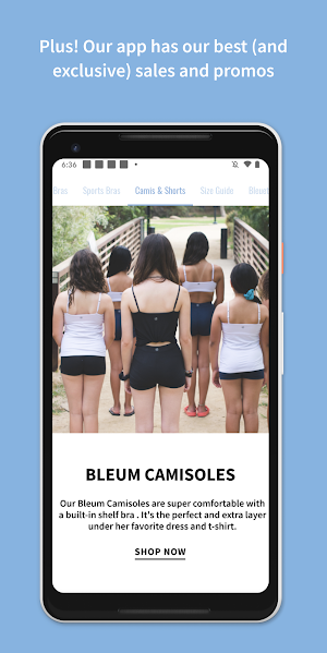 Bleuet Screenshot 3