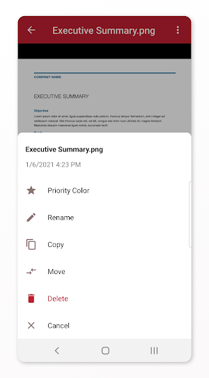 Files.com Screenshot 0