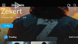 Zekertube Screenshot 3