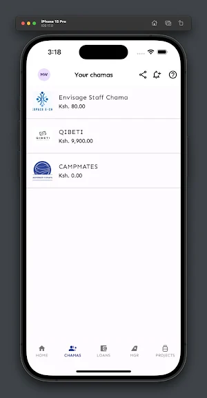E-CHAMA Screenshot 3