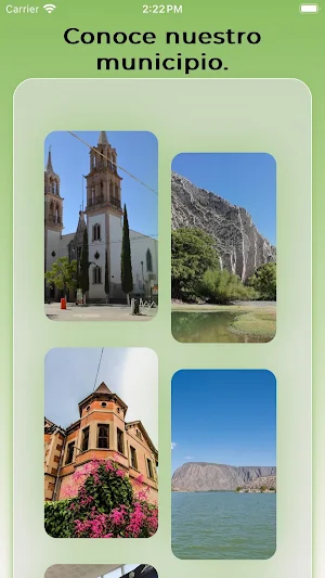 LERDO DIGITAL Screenshot 1