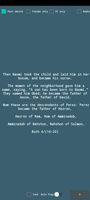 NRSV English Bible Verses Screenshot 1