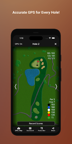 Toana Vista Golf Screenshot 3