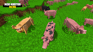 MOD-MASTER for Minecraft PE Screenshot 2