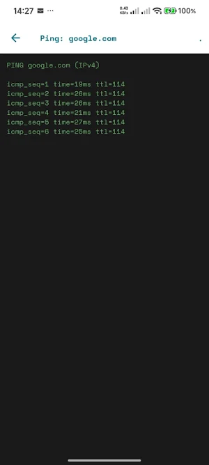 Network + CVE Tools Screenshot 2