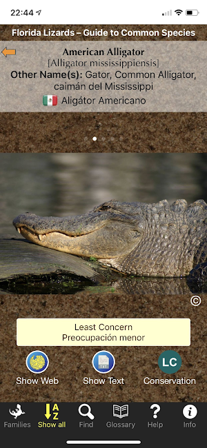 Florida Lizards Screenshot 1