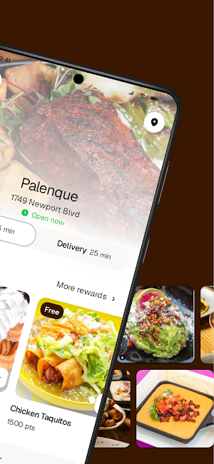 Palenque To Go Screenshot 1