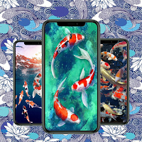 Koi Fish Wallpaper