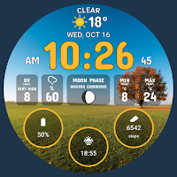 Weather Watch Face by HuskyDEV