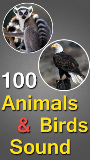 100 Animals and Birds Sound Screenshot 0