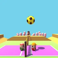 Volley ball