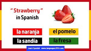 Learn Spanish - español Screenshot 3