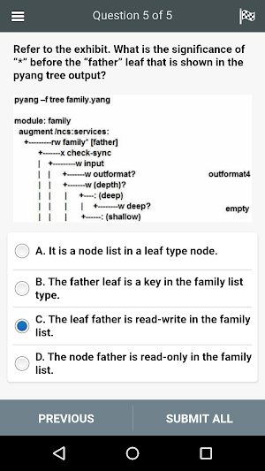 300-535 All-in-One Exam Screenshot 2