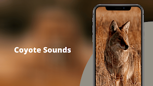 Coyote Sounds - Wild Coyote Calls Screenshot 0