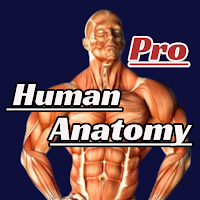 Learn Human Anatomy PRO