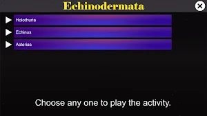 Echinodermata Screenshot 0