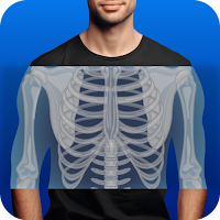 X-Ray Interpretation Guide
