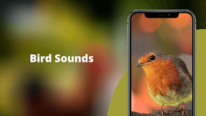 Bird Sounds - Nature Bird Calls & Ringtones Screenshot 0