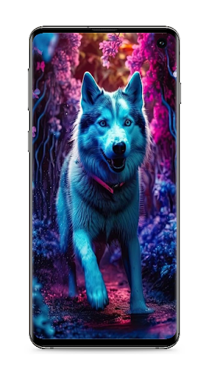 Wolf Wallpaper Screenshot 3