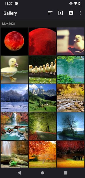 Simple Gallery Screenshot 0
