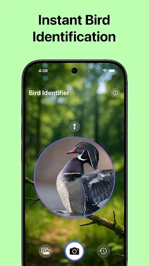 Bird Identifier Screenshot 1