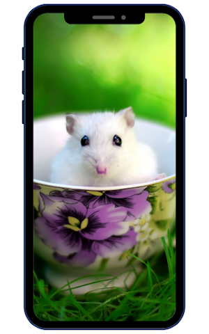 Hamster Wallpapers Screenshot 0