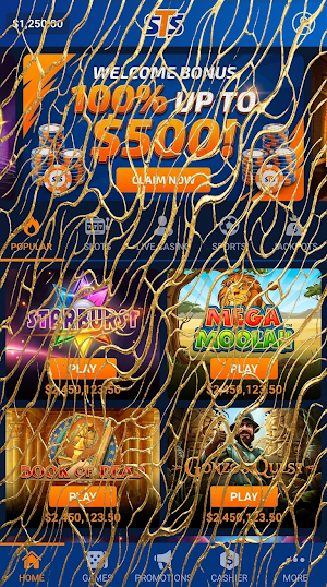 STS Casino Screenshot 2