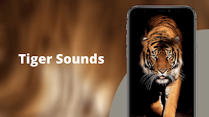 Tiger Sounds Screenshot 0