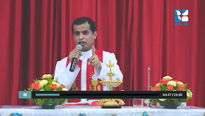 Shalom Television Screenshot 3