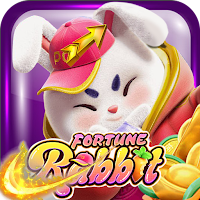 Rabbit War