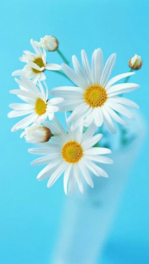 Preppy Blue Wallpapers Screenshot 1