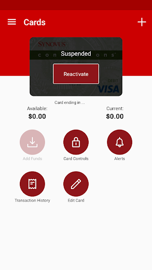 Synovus Connections Screenshot 2