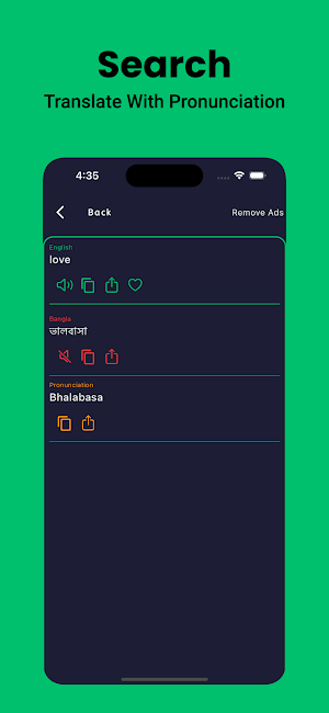 Bangla English Dictionary Screenshot 3